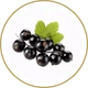 Ribes Nero 15 g.