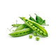 Proteina di pisello (nel nucleo plant-based da 30g)