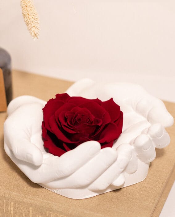 Una rosa è per sempre!