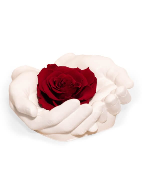 Una rosa è per sempre!