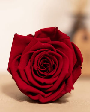 Una rosa è per sempre!