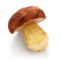 Funghi Porcini Secchi 30 gr.