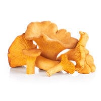 Funghi Finferli 20gr.