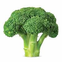 Purè di Broccoli Surgelati