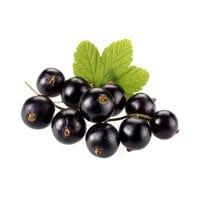 Ribes Nero 7 gr.