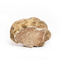 Tartufo Bianco e Burro 30 gr.